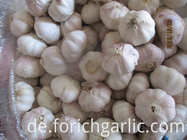 Fresh Garlic Cloves